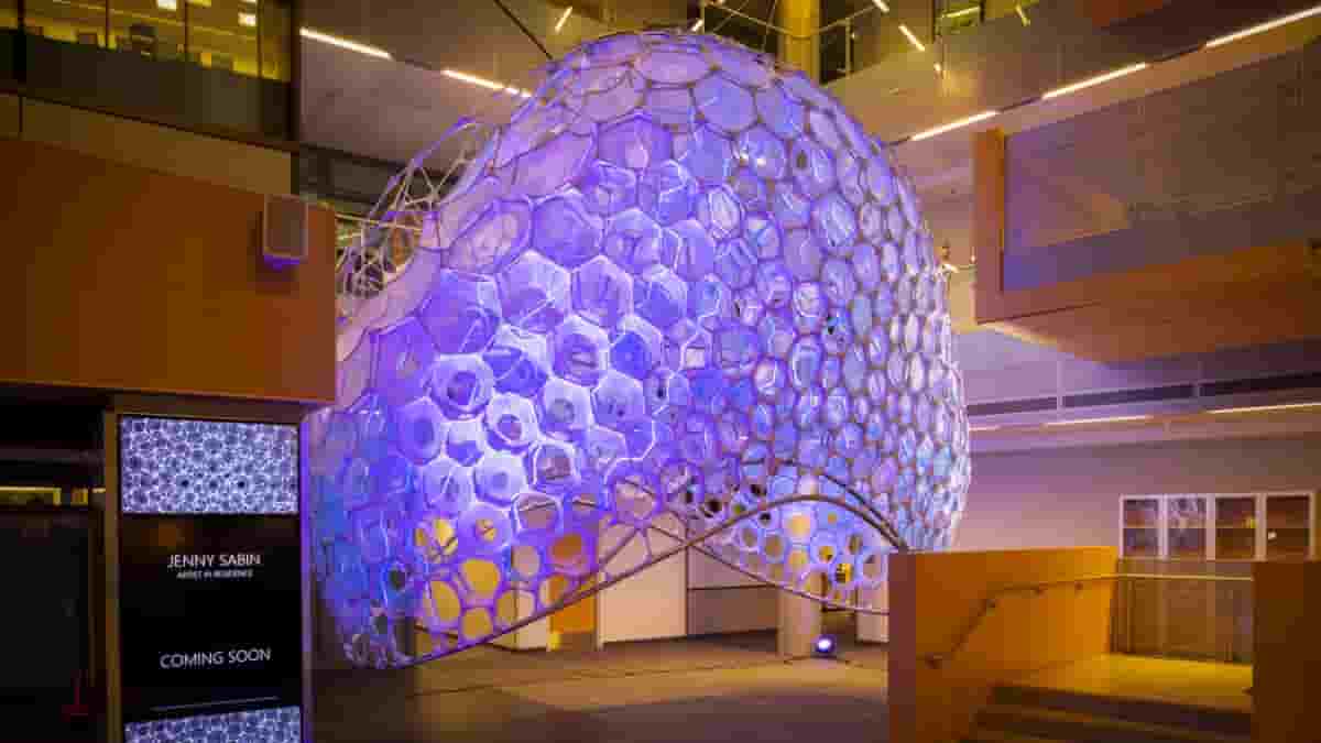 Your creativity will soar thanks to Microsoft's latest AI art creator